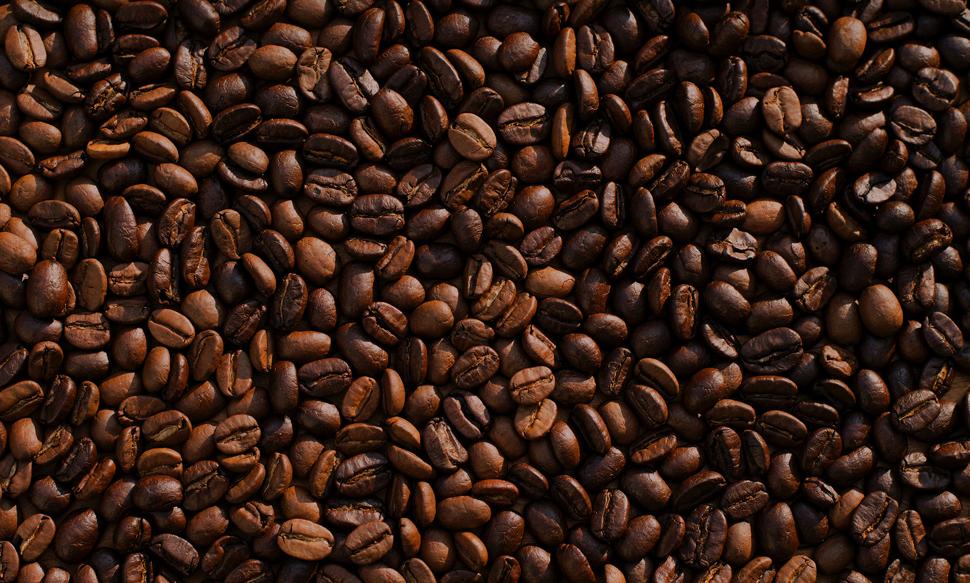 The Maxwell House Haggadah Braithwaite Communications