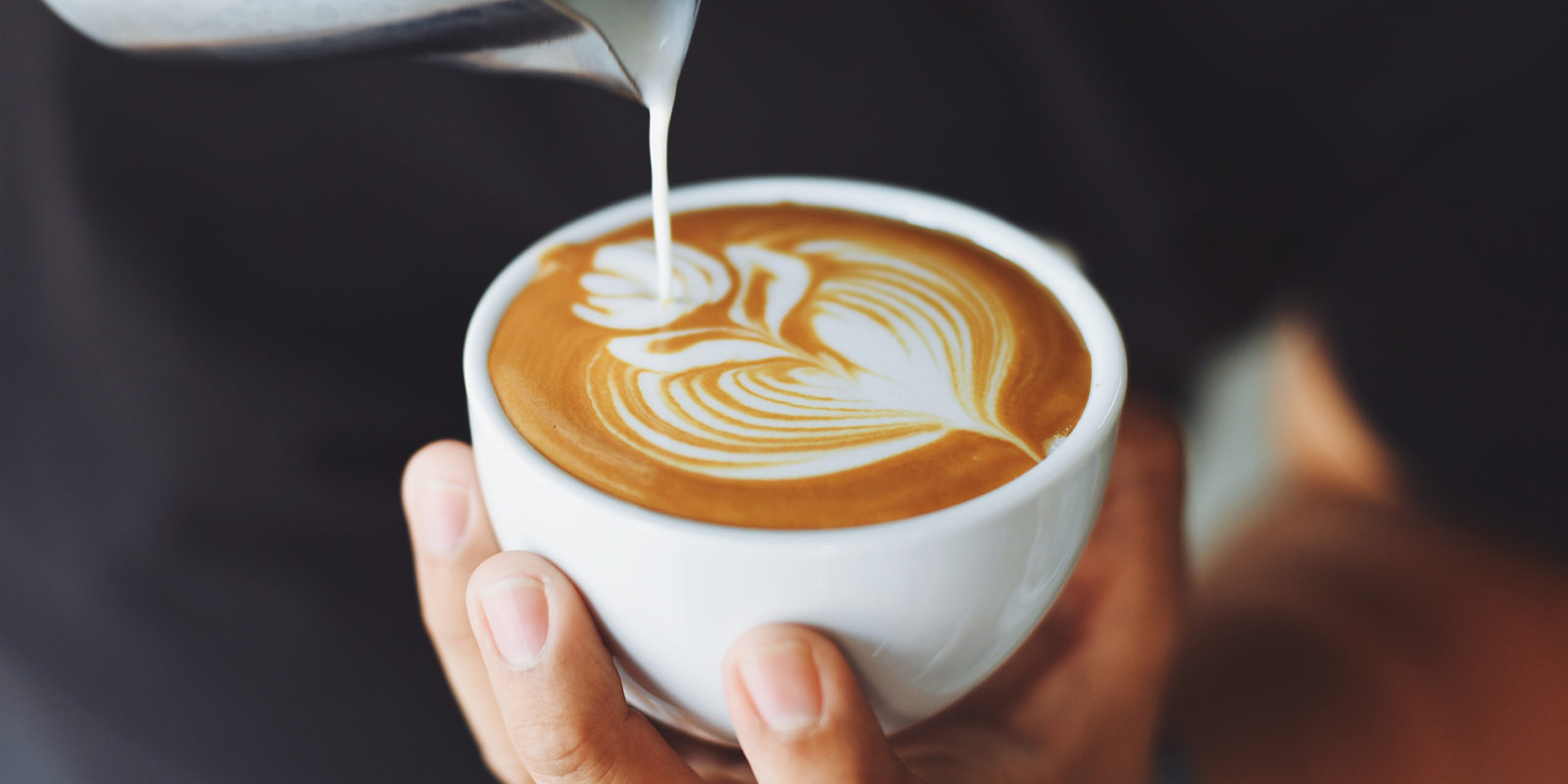 Oat Milk’s Journey to Your Coffee Cup