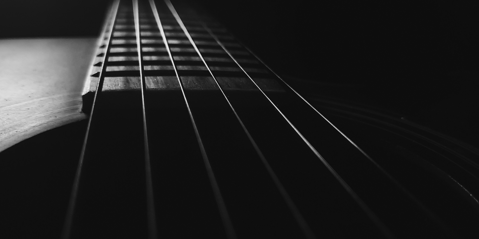 close up of guitar strings