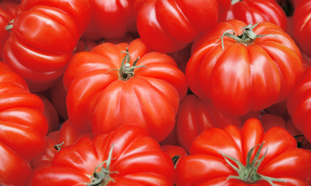 BC_LongStoryShort_Banners_Tomato