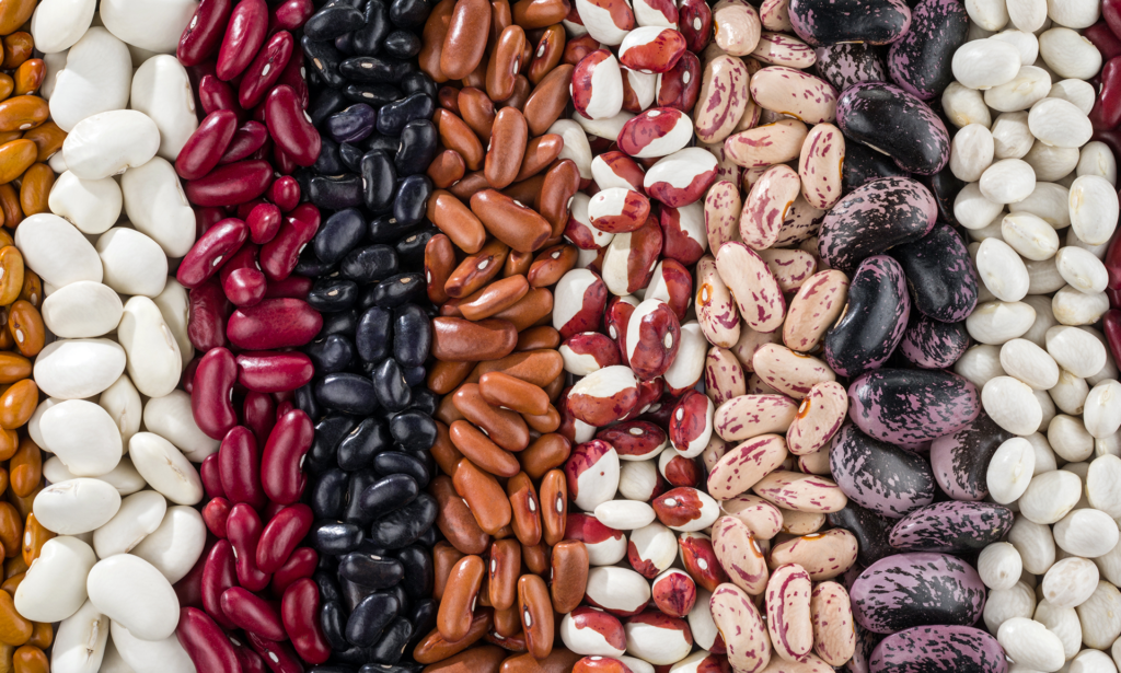 Beans