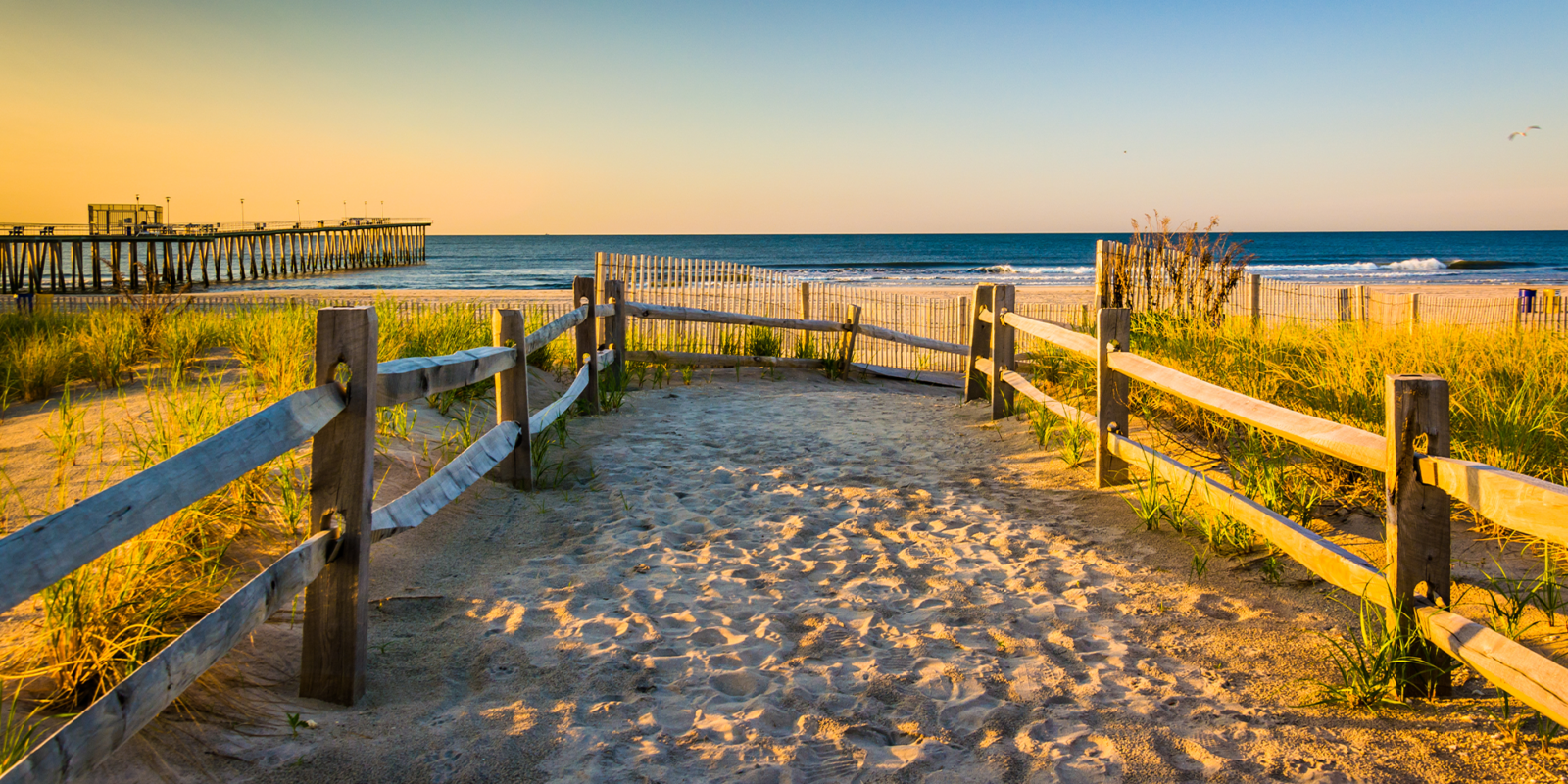 Down the Shore