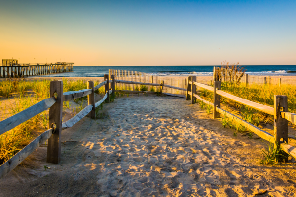 Down the Shore